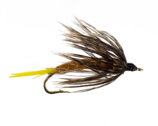 2B Golden Stonefly