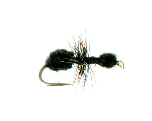 Ant, Fur
