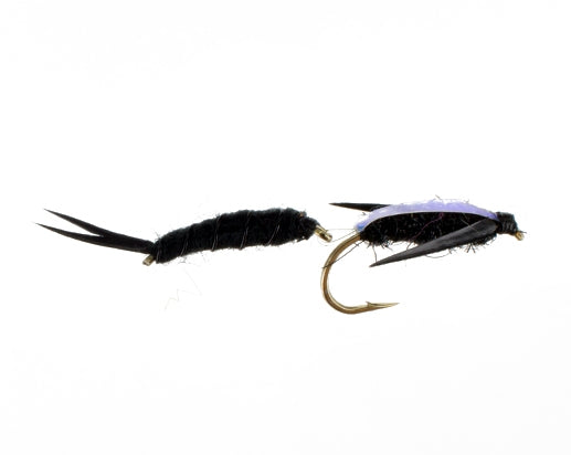 Articulated Stonefly