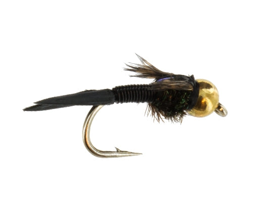 Black Beadhead Copper John Fly Fishing Pattern