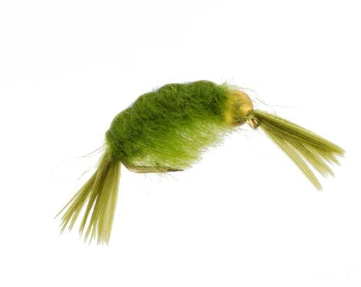 Beadhead Flashback Scud, Olive