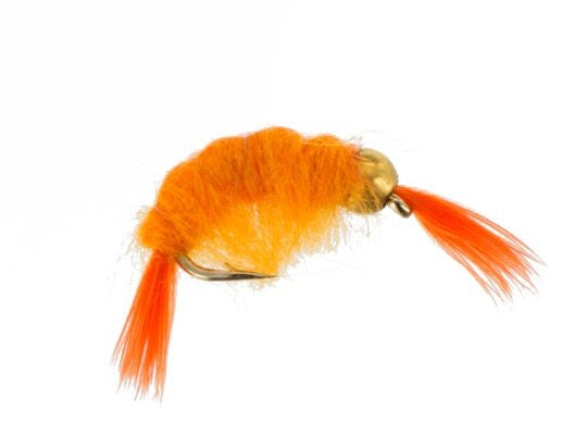 Beadhead Scud, Orange