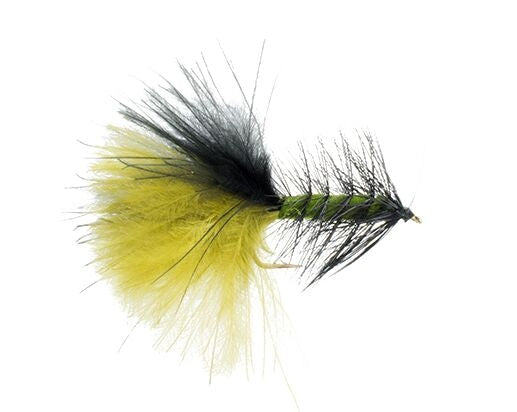 Bi-Bugger, Black/Olive