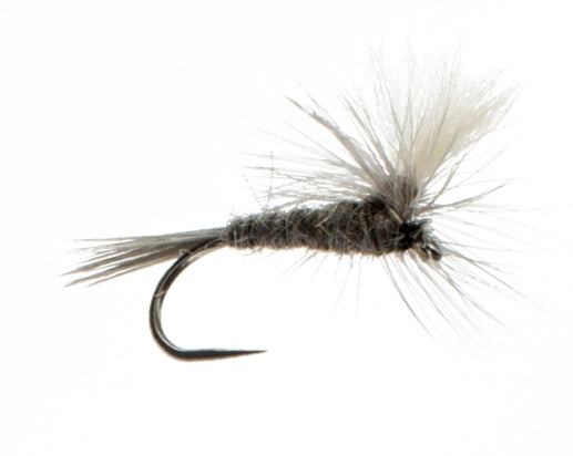 Blue Dun, Parachute Barbless