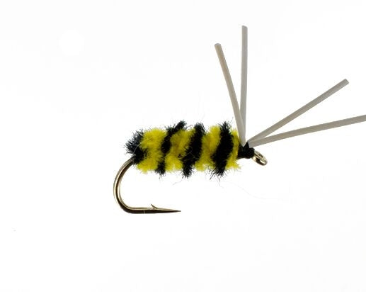 Bluegill Spider, Bumblebee