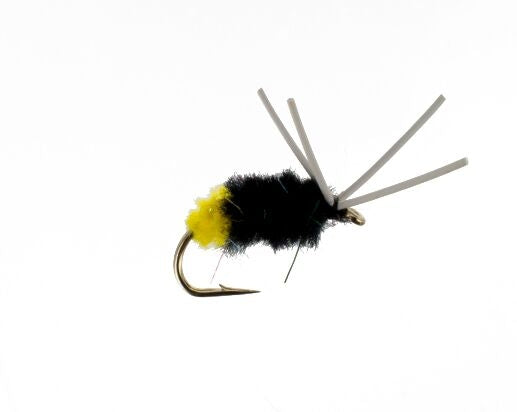 Bluegill Spider, Yellow Butt