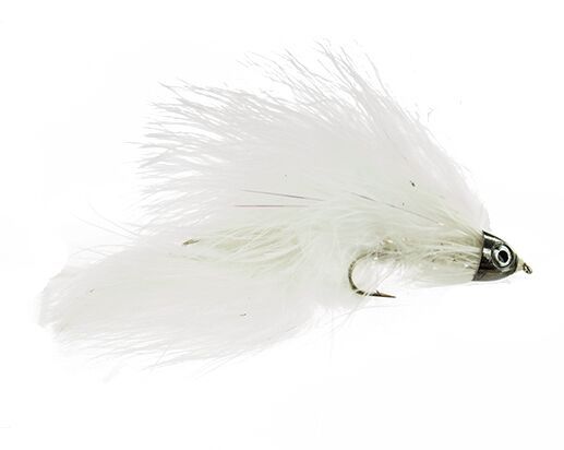 Catch's Area 51, White | Size - 1