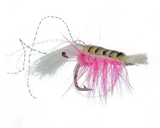 Bonefish Cocktail Shrimp, Pink