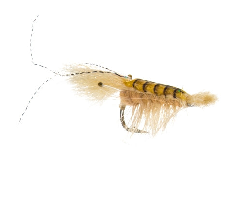 Bonefish Cocktail Shrimp, Tan