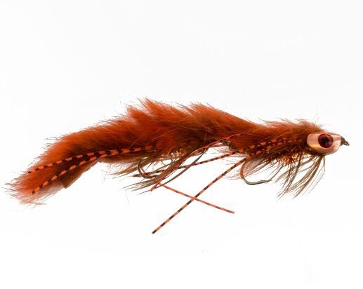 Catch's Candyman, Crayfish Orange