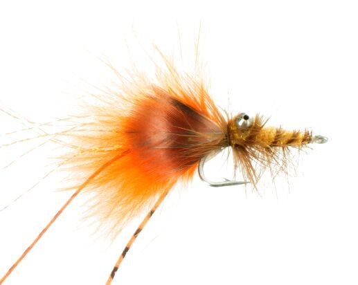 Carp Crawdad, Orange Carp