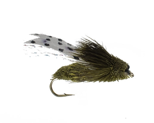 Cicada, Clark