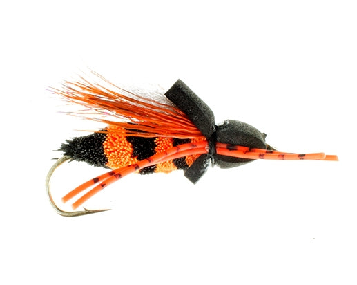 Cicada Foam, Black-Orange