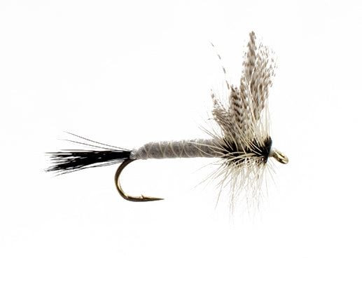 Coffin Fly Green Drake Spinner
