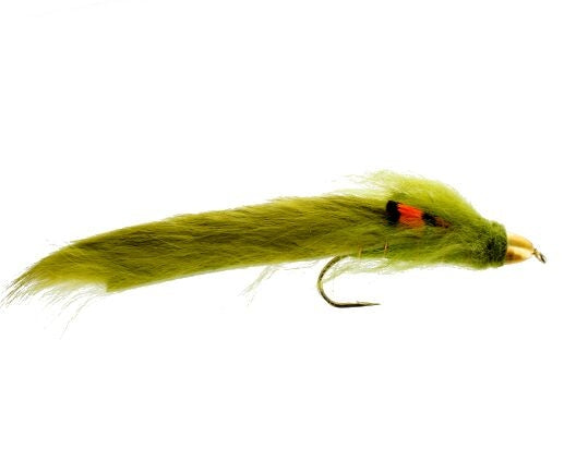 Conehead Woolly Sculpin, Olive