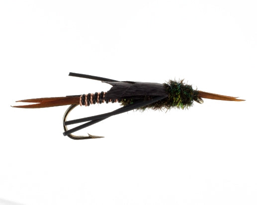 Copper Stonefly, Black