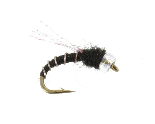 Crystal Midge, Black
