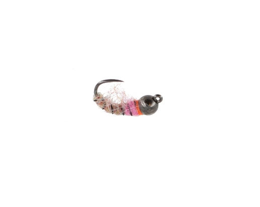 Czech Jig, Rainbow