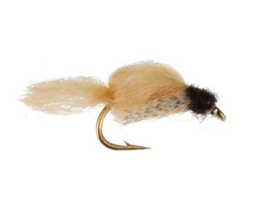 Deep Sparkle Pupa, Tan