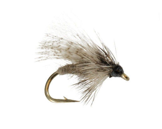 Diving Caddis