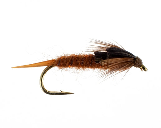 Early Brown Stonefly