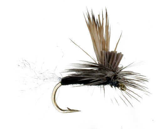 EC Caddis Black, Fly Fishing Flies, Dry Flies. Discount flies at theflystop.com. Small Image.