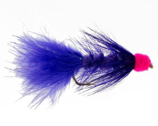 Egg Sucking Leech, Purple