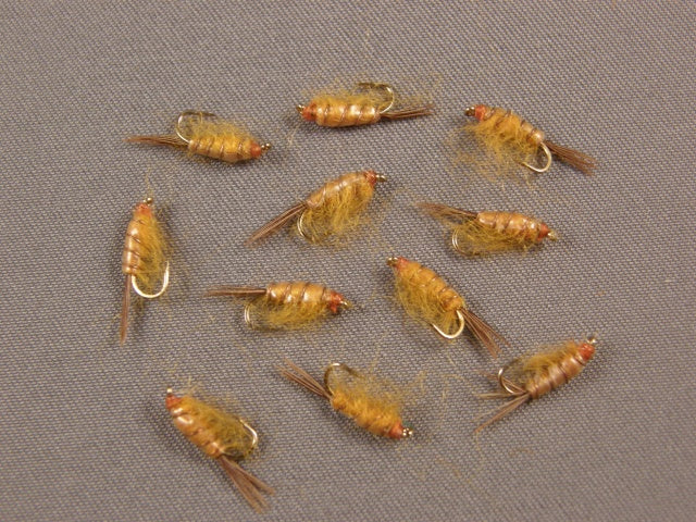 Scud, Bighorn grouped