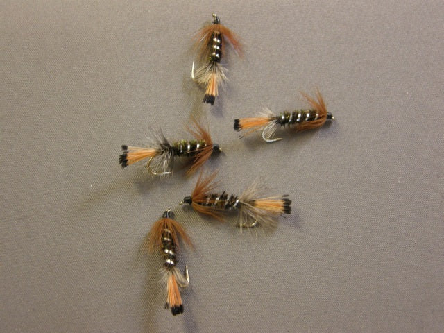 Peacock Lady grouped