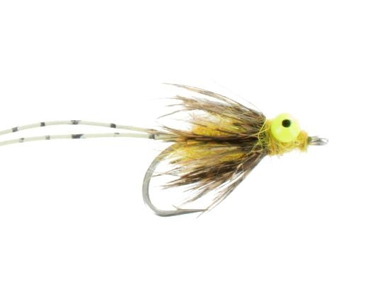 Carp Crack, Yellow (Carp)