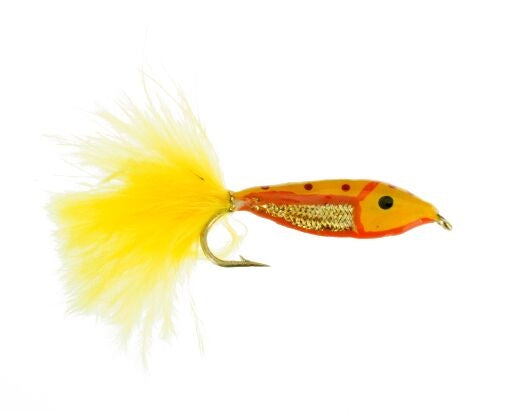 Janssen's Golden Trout