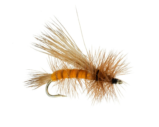 Improved Sofa Pillow