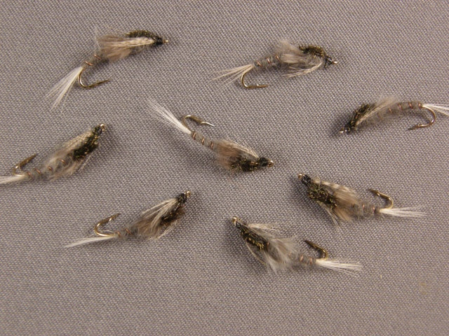 Callibaetis Nymph