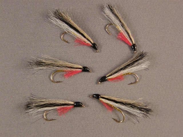 Flathead Minnow, grouped