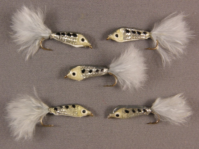 Janssen's Threadfin Shad, grouped