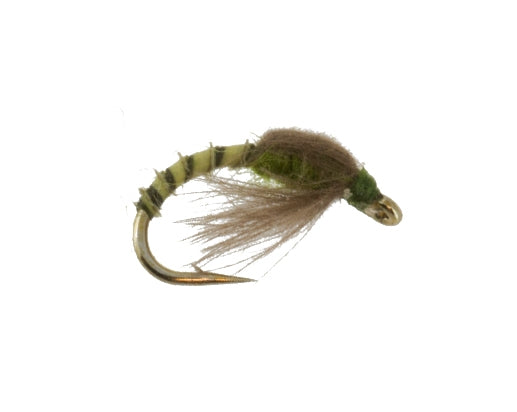 CDC Loop Wing Emerger, Olive