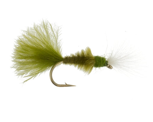 Emerger, CDC Green Drake