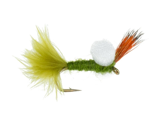 Halo Emerger, Olive