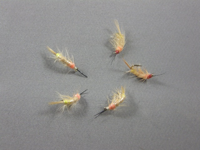 Shrimp #3 grouped