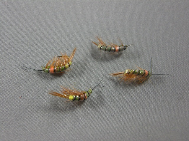 Shrimp #6 grouped