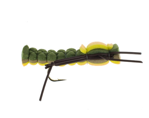 Foam Terrestrial, Olive