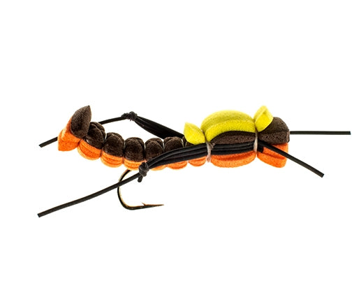 Foam Terrestrial, Orange