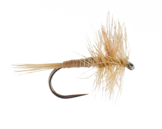 Ginger Mayfly Barbless