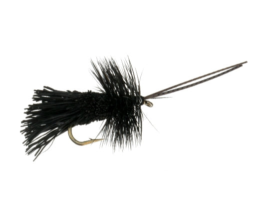 Goddard Caddis, Black