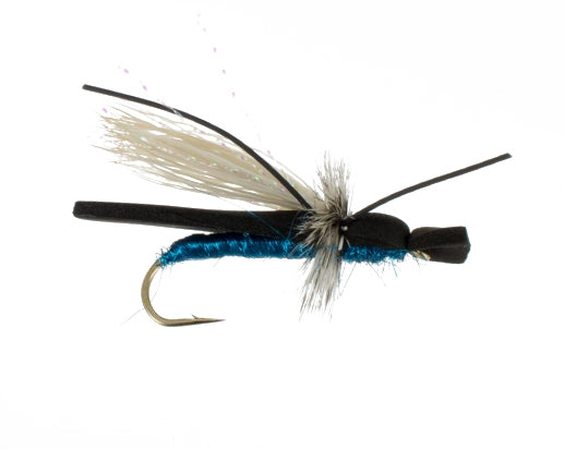 Gypsy King, Blue