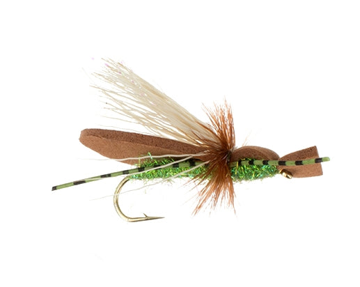 Gypsy King, Chartreuse