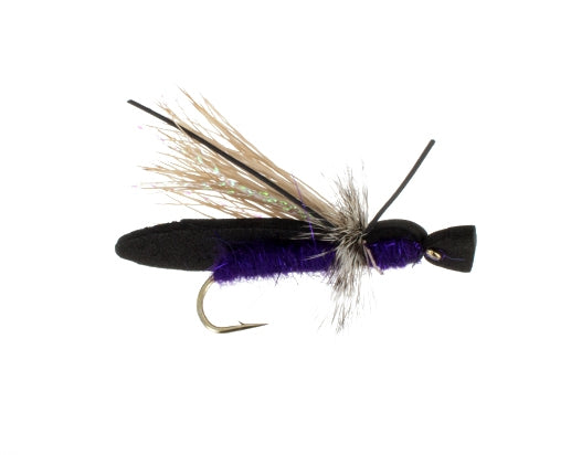 Gypsy King, Purple