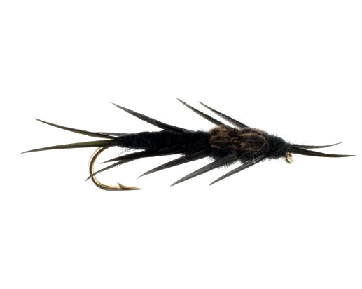 Hellgrammite, Black