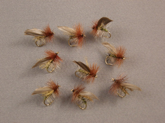 Henryville Caddis, Olive grouped 2