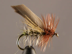 Henryville Caddis, Olive